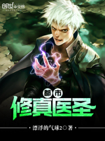 《都市修真医圣》
