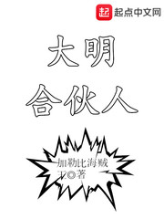 《大明合伙人》