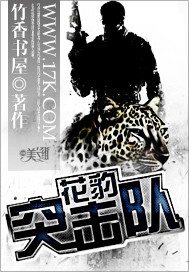 《花豹突击队》
