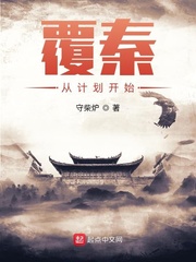 《覆秦从计划开始》
