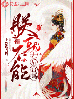 《朕就不能开后宫吗》