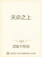 《天命之上》