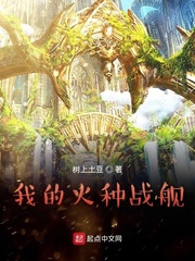 《我的火种战舰》