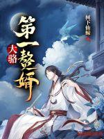 《大骆第一赘婿》