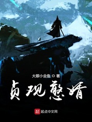 《贞观憨婿》