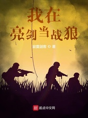 《我在亮剑当战狼》