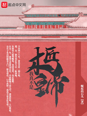 《我真不是木匠皇帝》