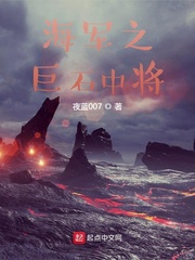 《海军之巨石中将》