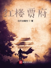 《红楼贾府》