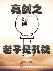 《亮剑之老子是孔捷》