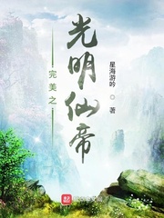 《完美世界之光明仙帝》