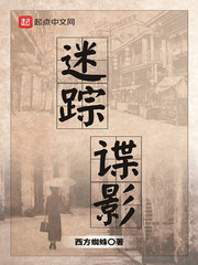 《迷踪谍影》