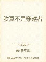 《朕真不是穿越者》