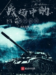 《战场中的角色扮演》