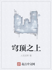 《穹顶之上》