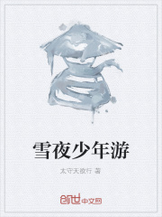 《雪夜少年游》
