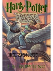 《重生哈利波特》