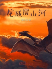 《龙威震山河》