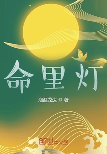 《命里灯》