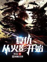 《复仇，从火影开始》