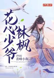《花心少爷林枫》