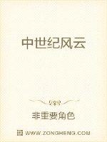 《中世纪风云》
