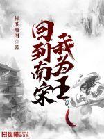《回到南宋我为王》