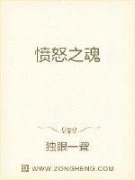 《愤怒之魂》