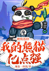 《神级选择：我的熊猫亿点强》