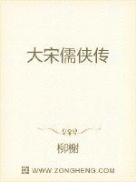 《大宋儒侠传》
