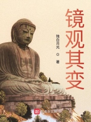 《镜观其变》