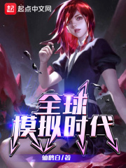《全球模拟时代》