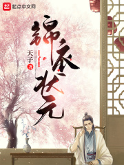 《锦衣状元》