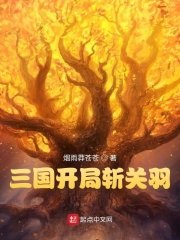 《三国开局斩关羽》