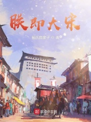 《朕即大宋》