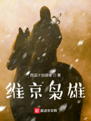 《维京枭雄》