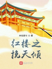 《红楼之挽天倾》