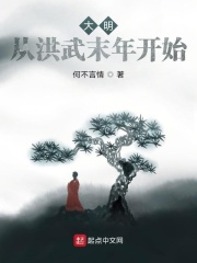 《大明：从洪武末年开始》