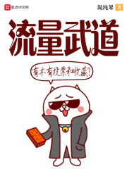 《流量武道》
