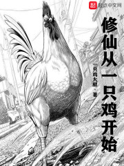 《修仙从一只鸡开始》