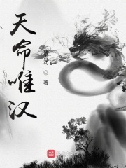 《天命唯汉》