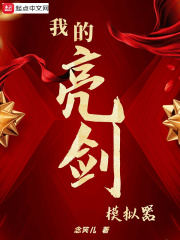 《我的亮剑模拟器》
