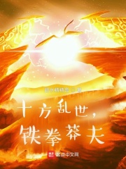 《十方乱世，铁拳莽夫》