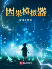 《我的因果模拟器》
