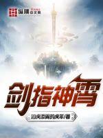 《剑指神霄》