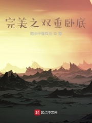 《完美之双重卧底》