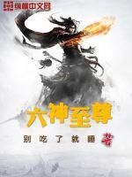 《六神至尊》
