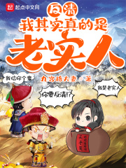 《反清：我其实真的是老实人》