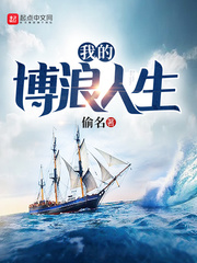 《我的博浪人生》