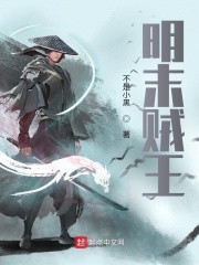 《明末贼王》